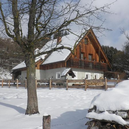 Ferienhaus "Zur Alten Schmiede" Mariahof 외부 사진